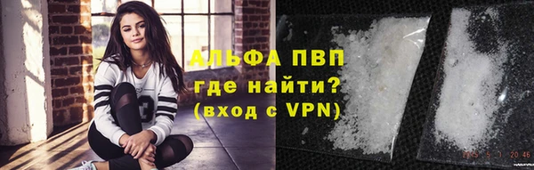 дживик Бородино