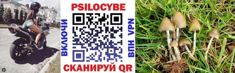 Псилоцибиновые грибы Psilocybine cubensis  гидра ССЫЛКА  Ворсма 
